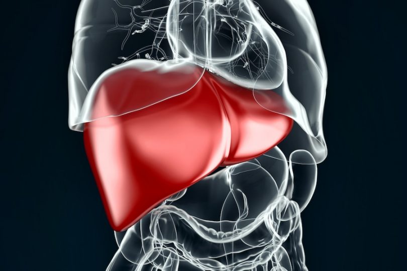 liver